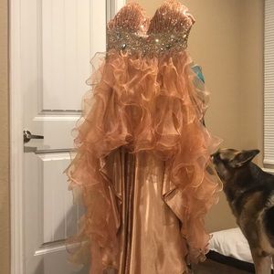 prom dress brand new but with corset on the back